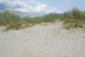 Düne Ferienwohnung Braun Norddeich